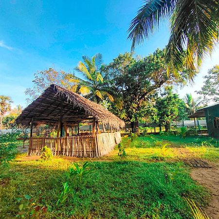 Wilpattu Green Cabin Achchamulai Exterior foto